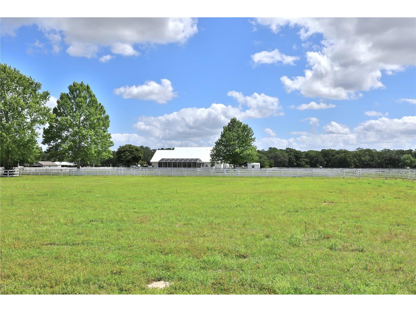 4450 SE 216th Avenue #OPTION 2 Morriston FL 32668 OM724020 image50
