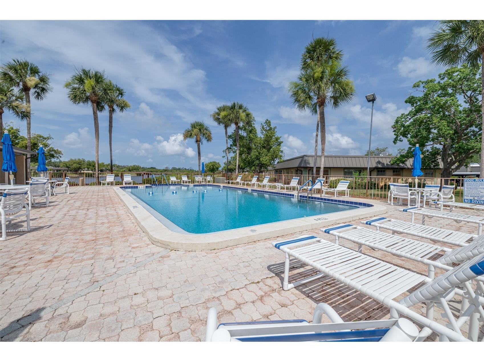 4450 Sunstate Drive #4450 New Port Richey FL 34652 TB8525431 image47