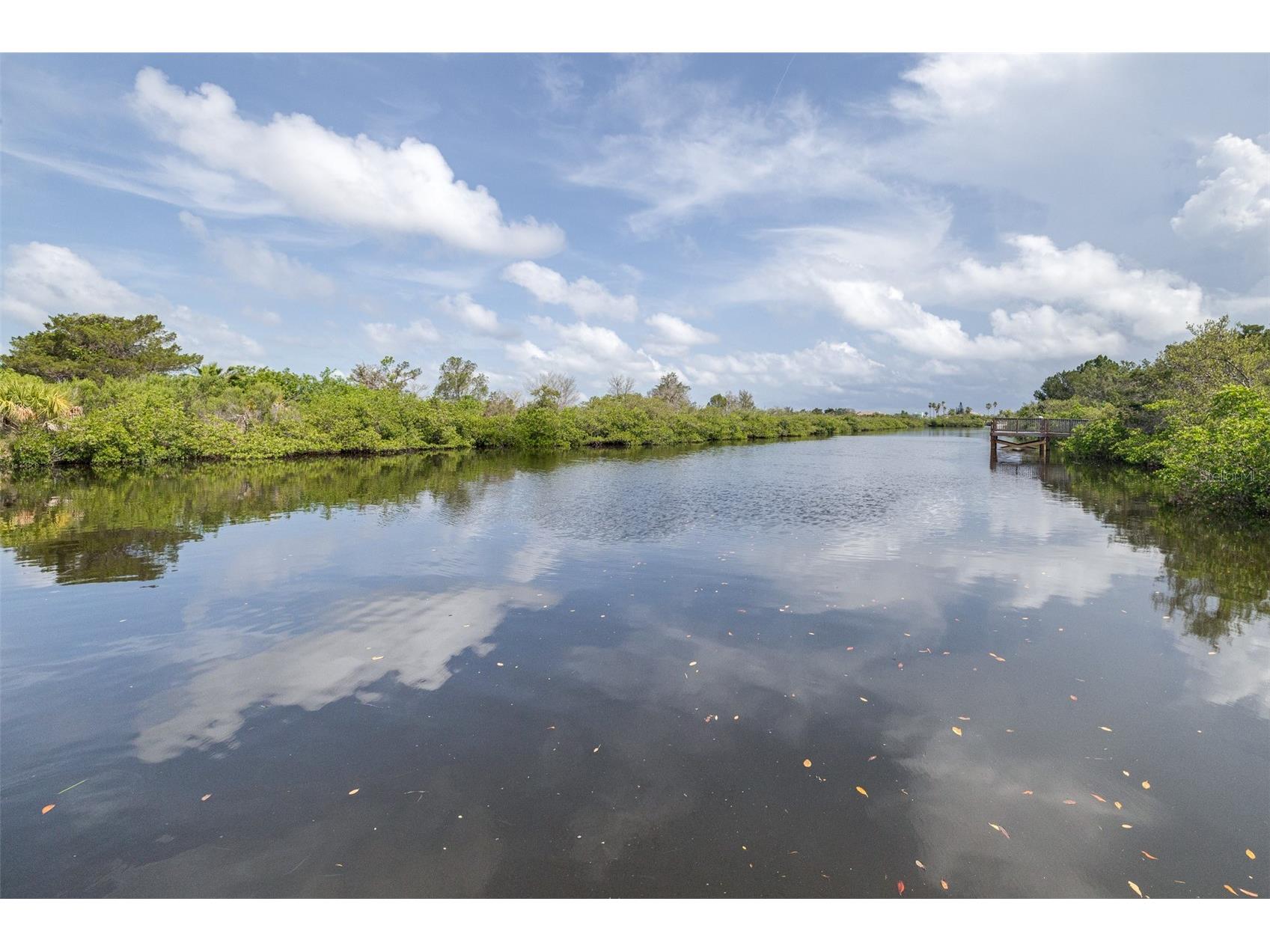 4450 Sunstate Drive #4450 New Port Richey FL 34652 TB8525431 image56