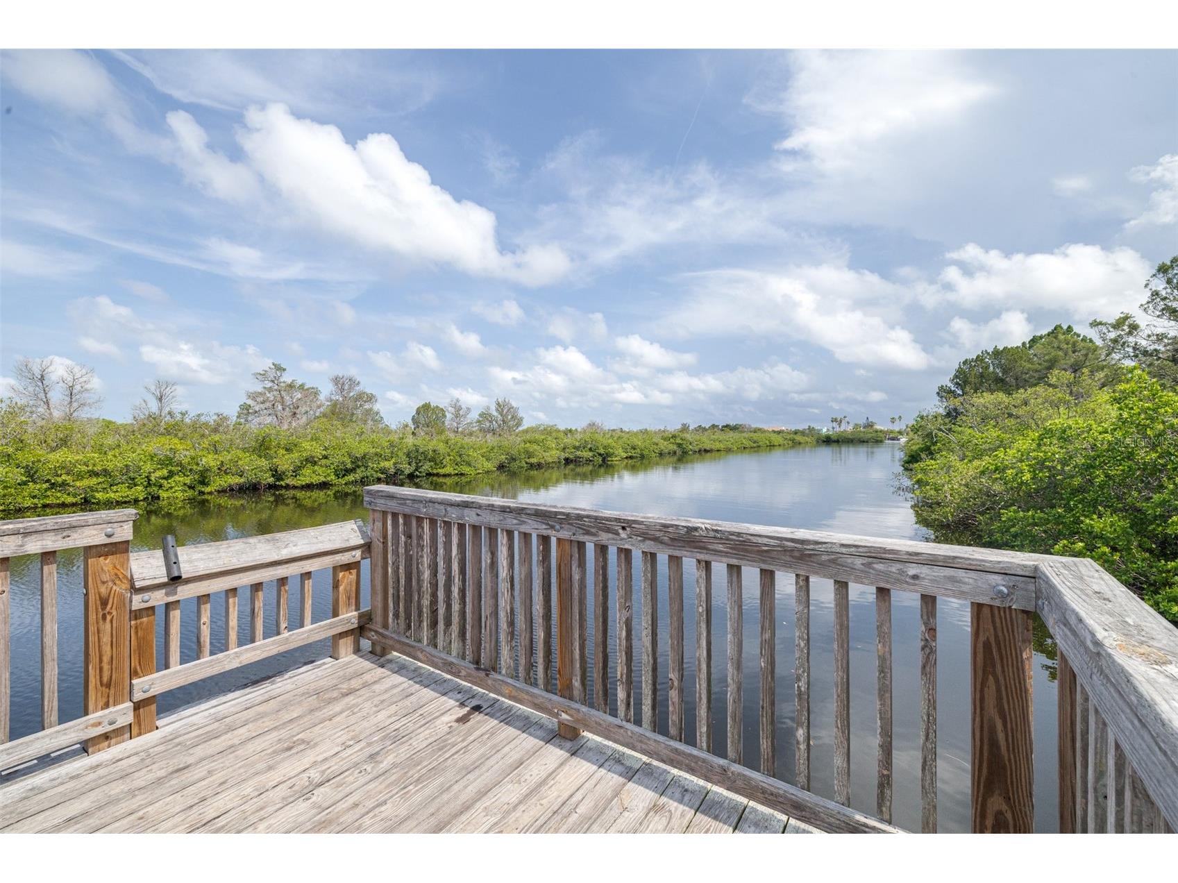 4450 Sunstate Drive #4450 New Port Richey FL 34652 TB8525431 image59