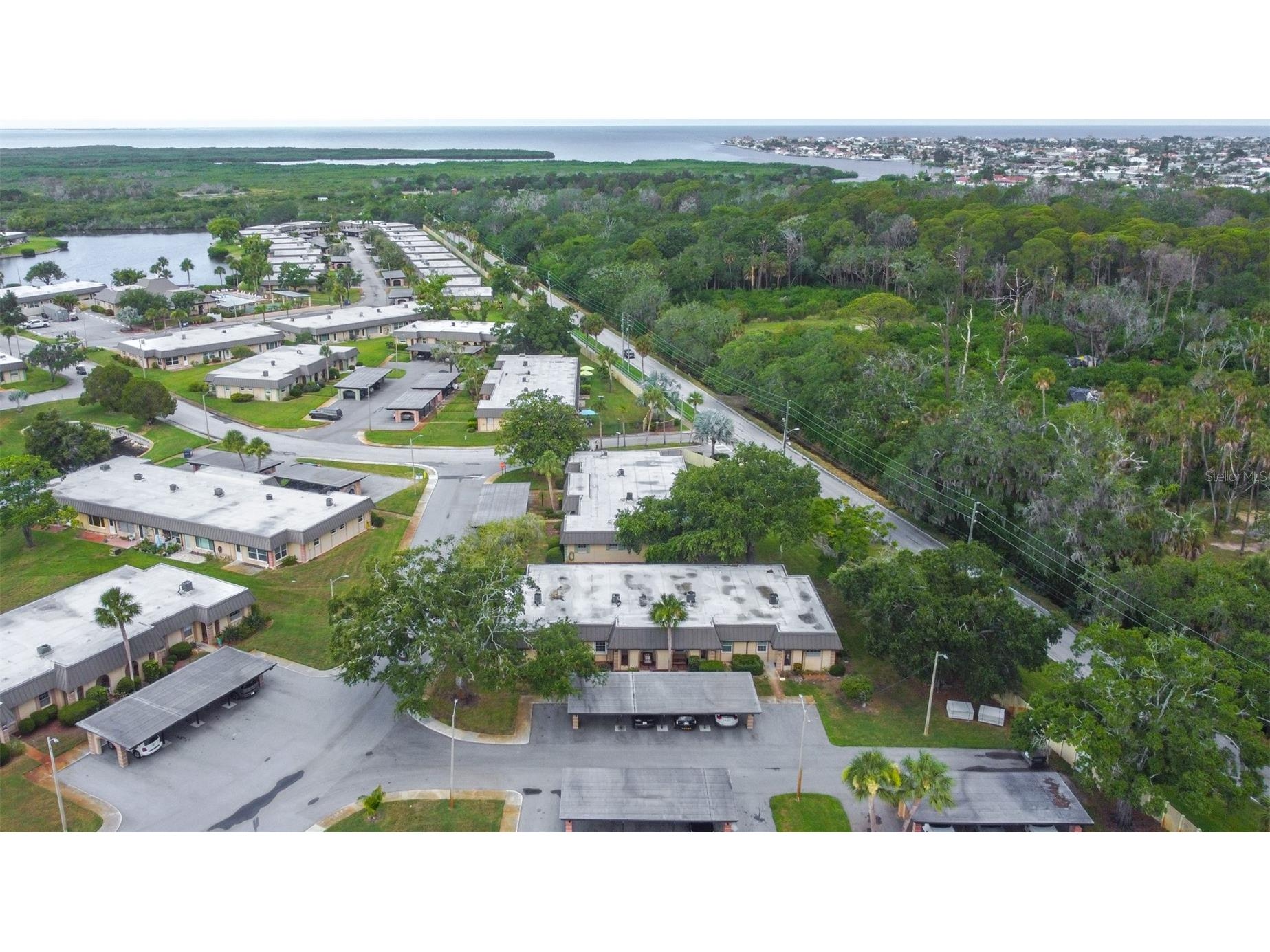 4450 Sunstate Drive #4450 New Port Richey FL 34652 TB8525431 image60
