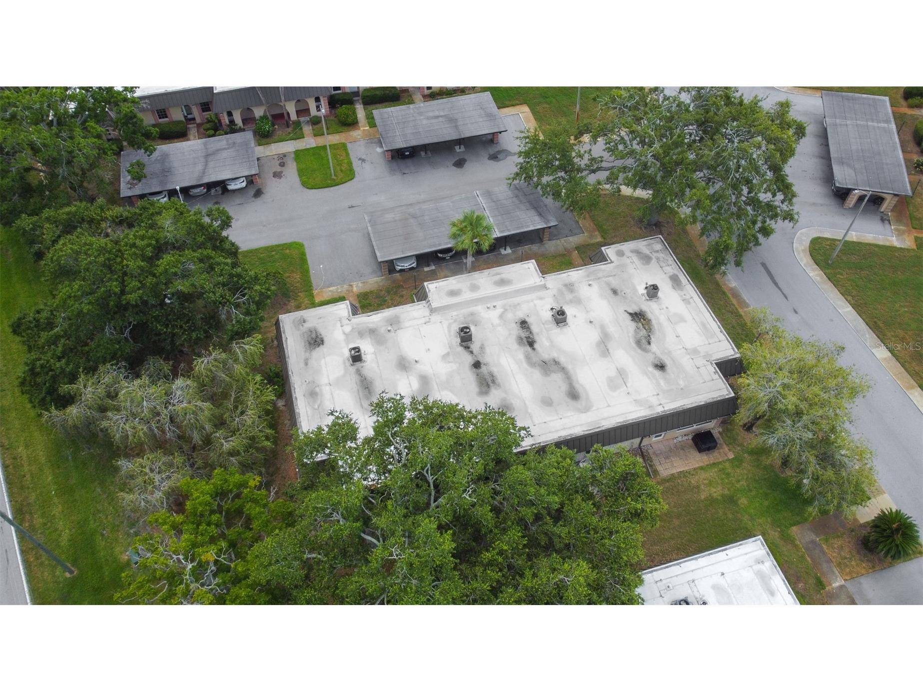 4450 Sunstate Drive #4450 New Port Richey FL 34652 TB8525431 image67