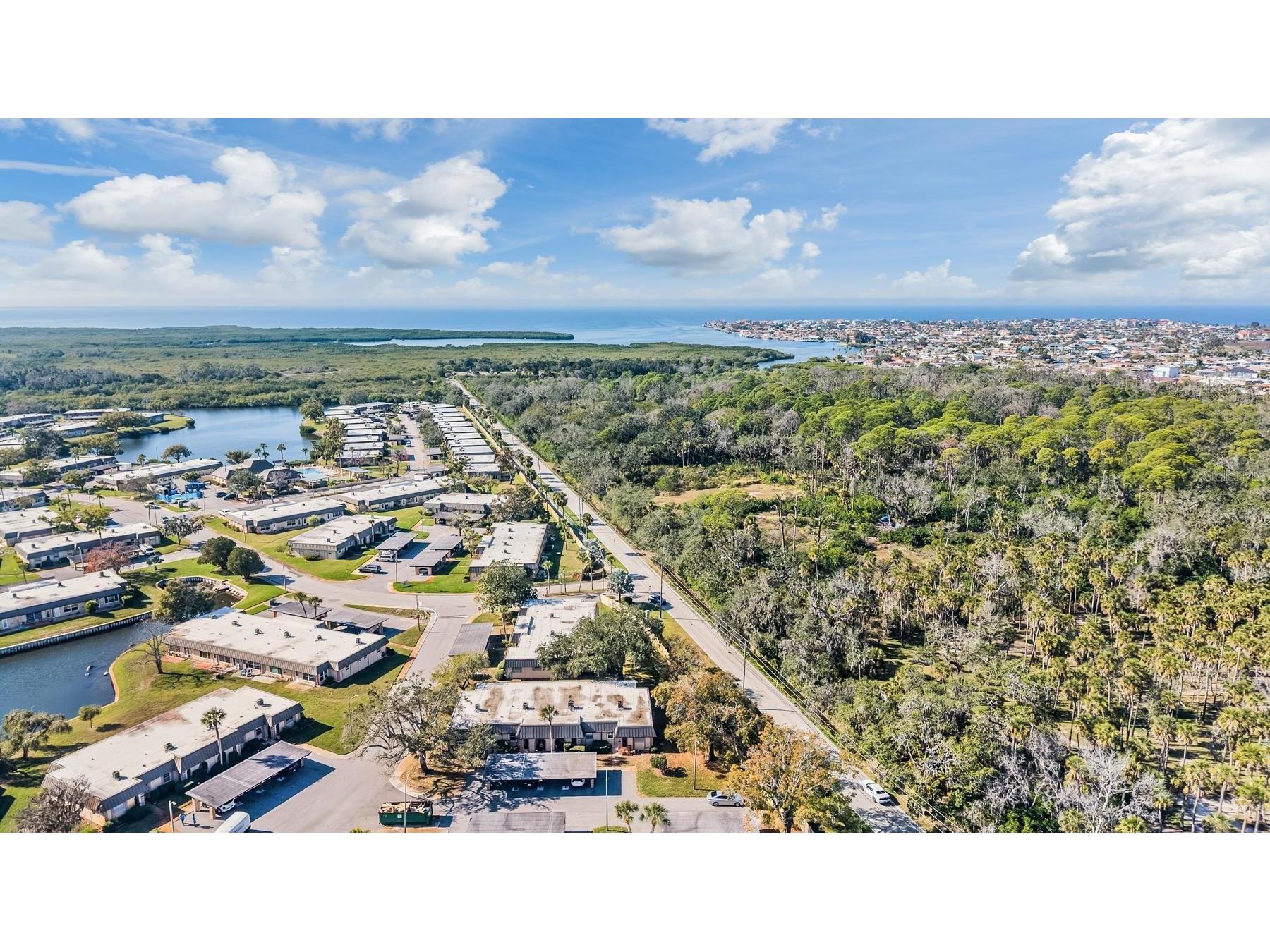 4450 Sunstate Drive New Port Richey FL 34652 TB8457236 image28