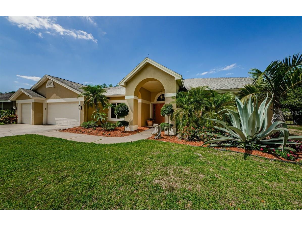 4452 Bardsdale Drive Palm Harbor FL 34685 TB8381299 image1