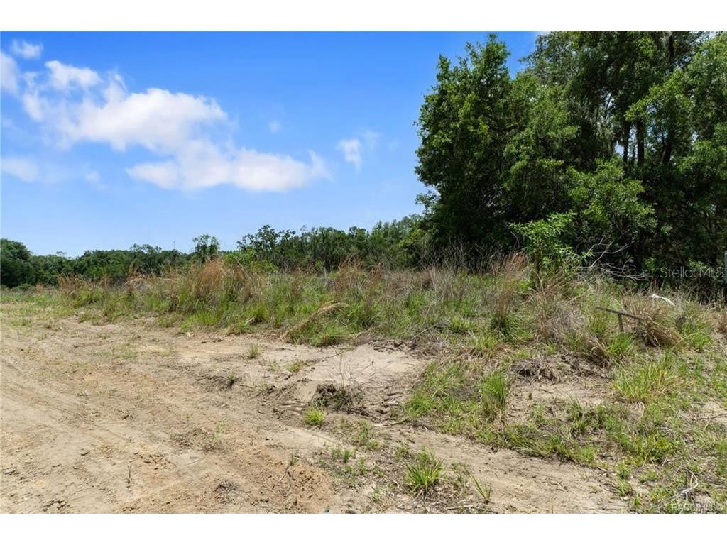 4452 E Rejoice Street Inverness FL 34453 OM725498 image39