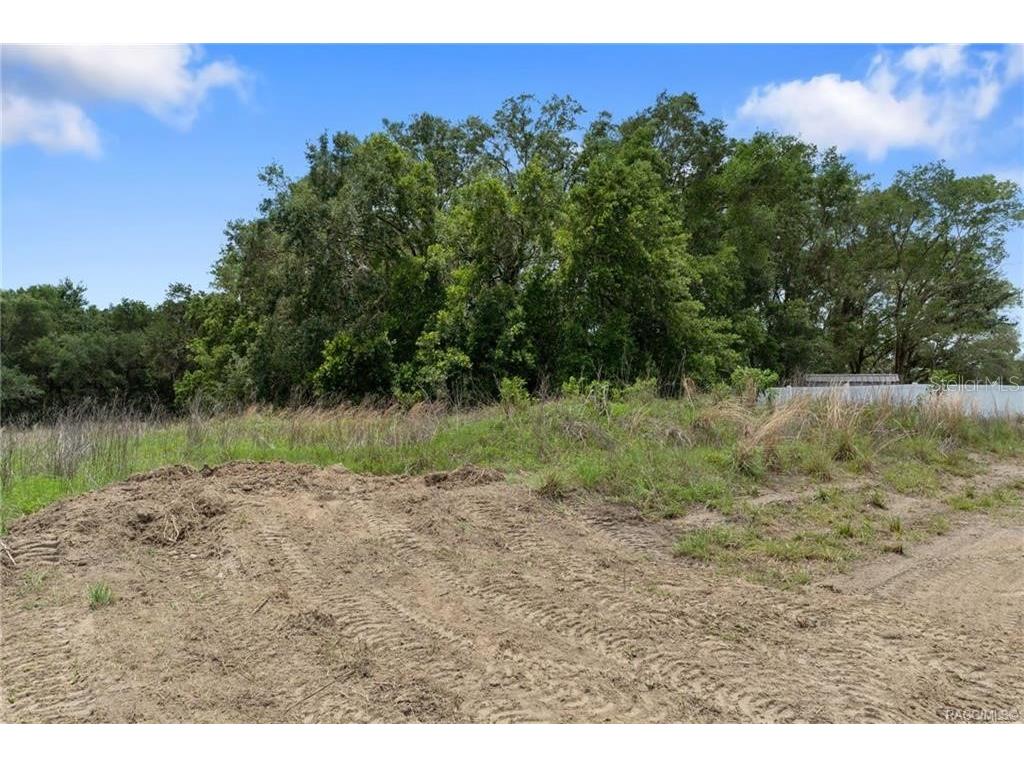 4452 E Rejoice Street Inverness FL 34453 OM725498 image41