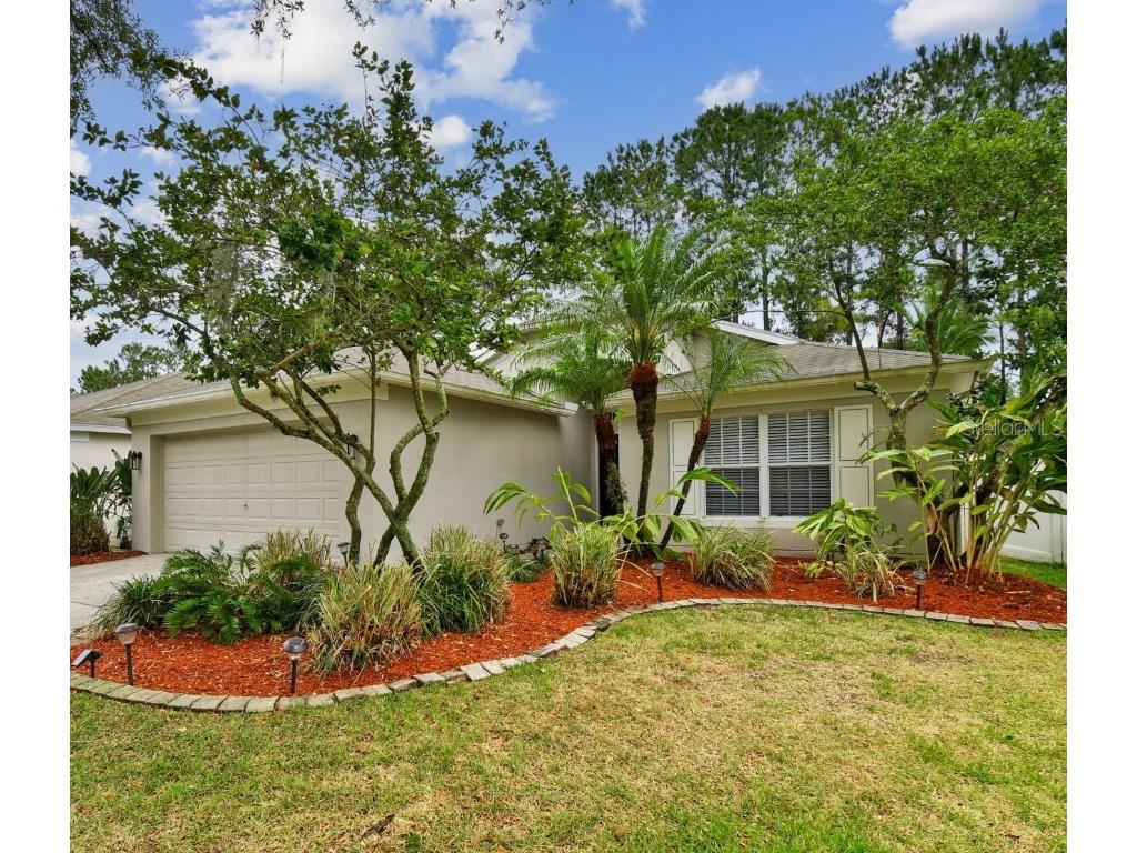 4452 Marchmont Boulevard Land O Lakes FL 34638 T3526552 image1