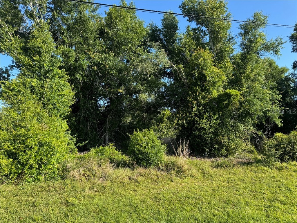 4452 NW Highway 72 Arcadia FL 34266 C7492001 image1