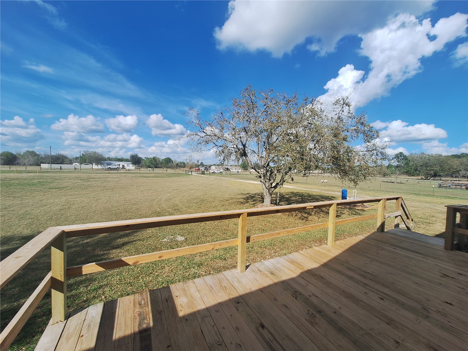 4452 Roundup Drive Polk City FL 33868 O6388654 image15