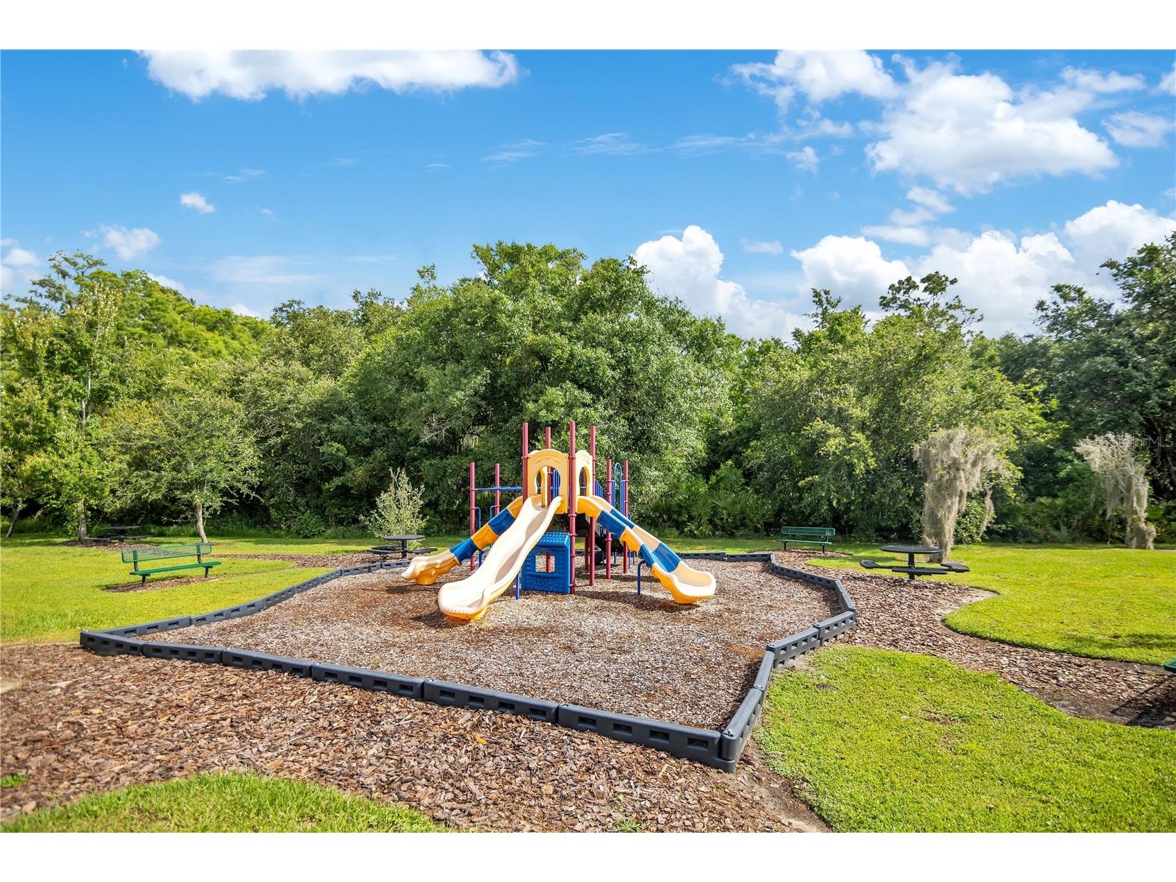 4452 Seven Canyons Drive Kissimmee FL 34746 O6410724 image38