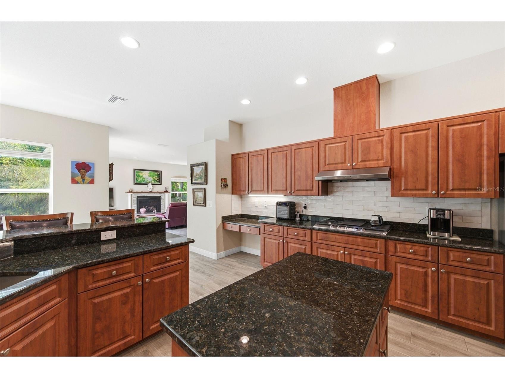 4453 Lake In The Woods Drive Spring Hill FL 34607 TB8487893 image10