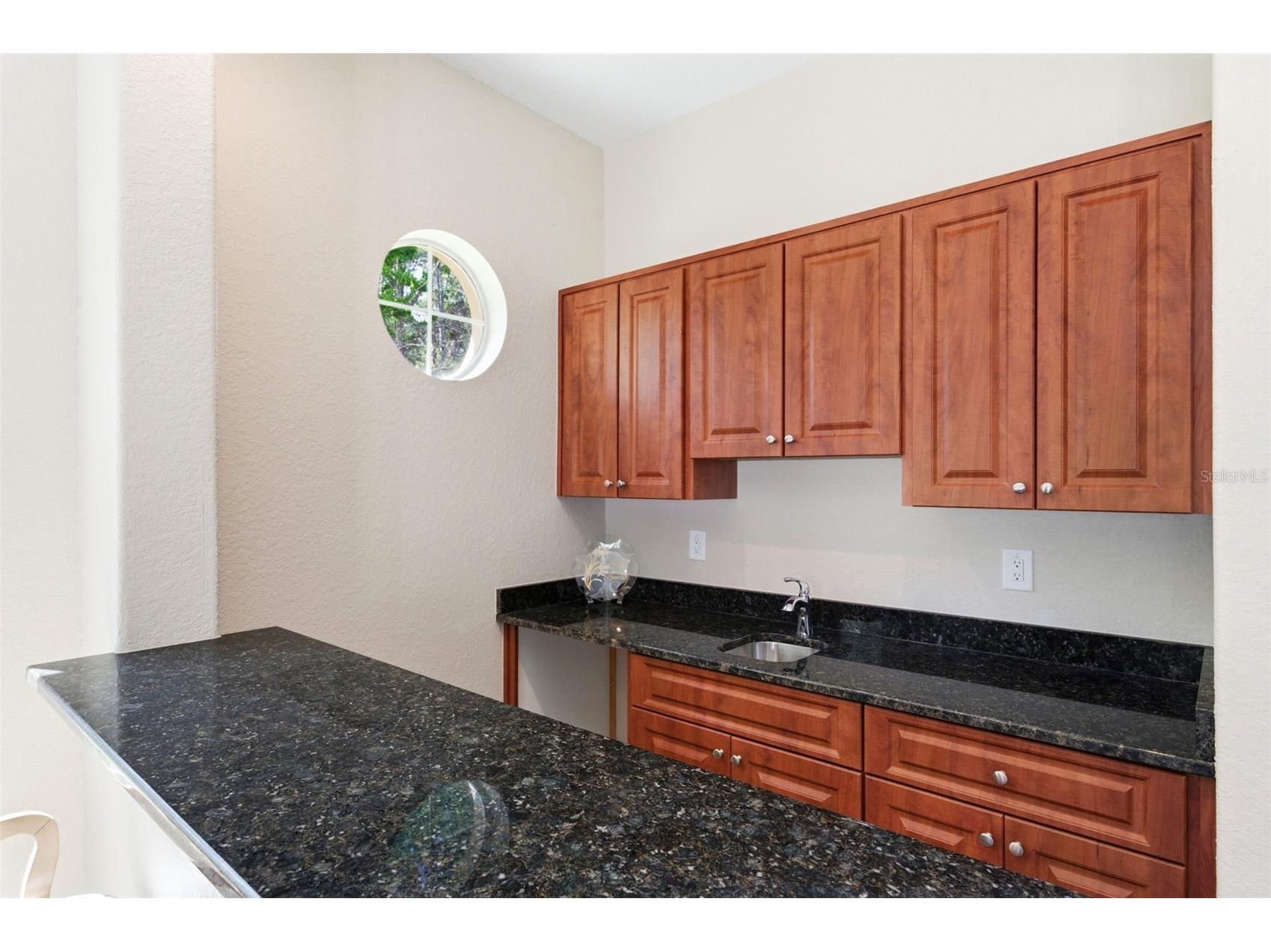 4453 Lake In The Woods Drive Spring Hill FL 34607 TB8487893 image20