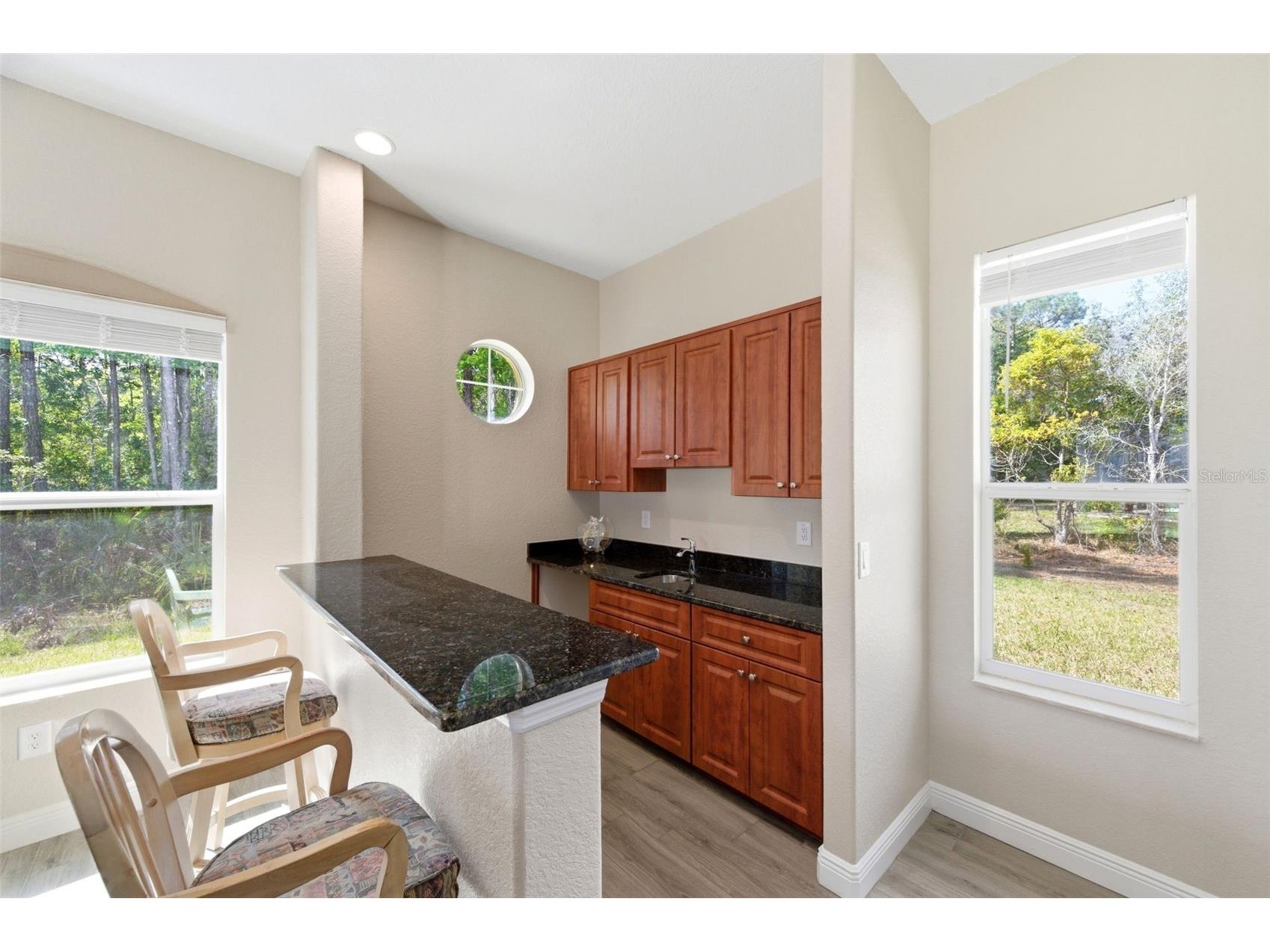 4453 Lake In The Woods Drive Spring Hill FL 34607 TB8487893 image21