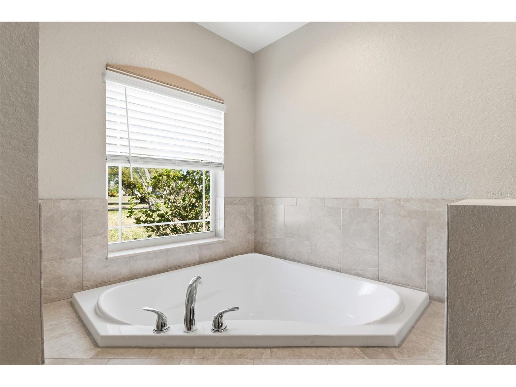 4453 Lake In The Woods Drive Spring Hill FL 34607 TB8487893 image28