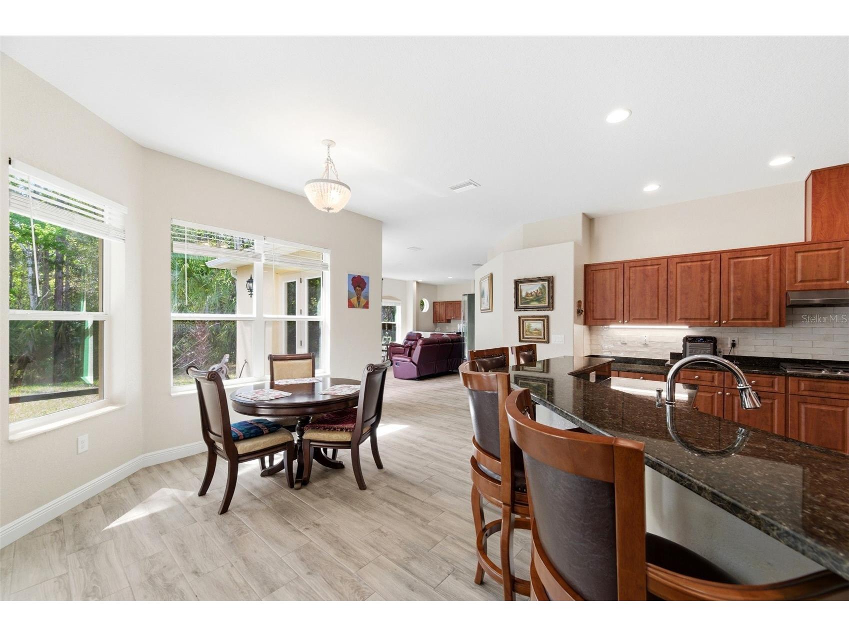 4453 Lake In The Woods Drive Spring Hill FL 34607 TB8487893 image7