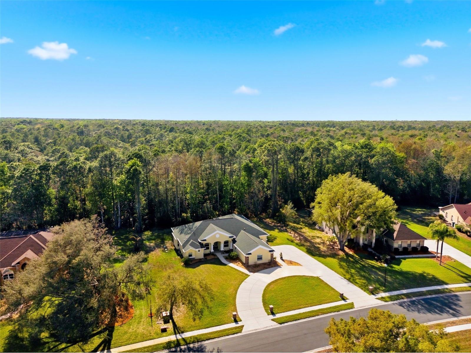4453 Lake In The Woods Drive Spring Hill FL 34607 TB8487893 image74