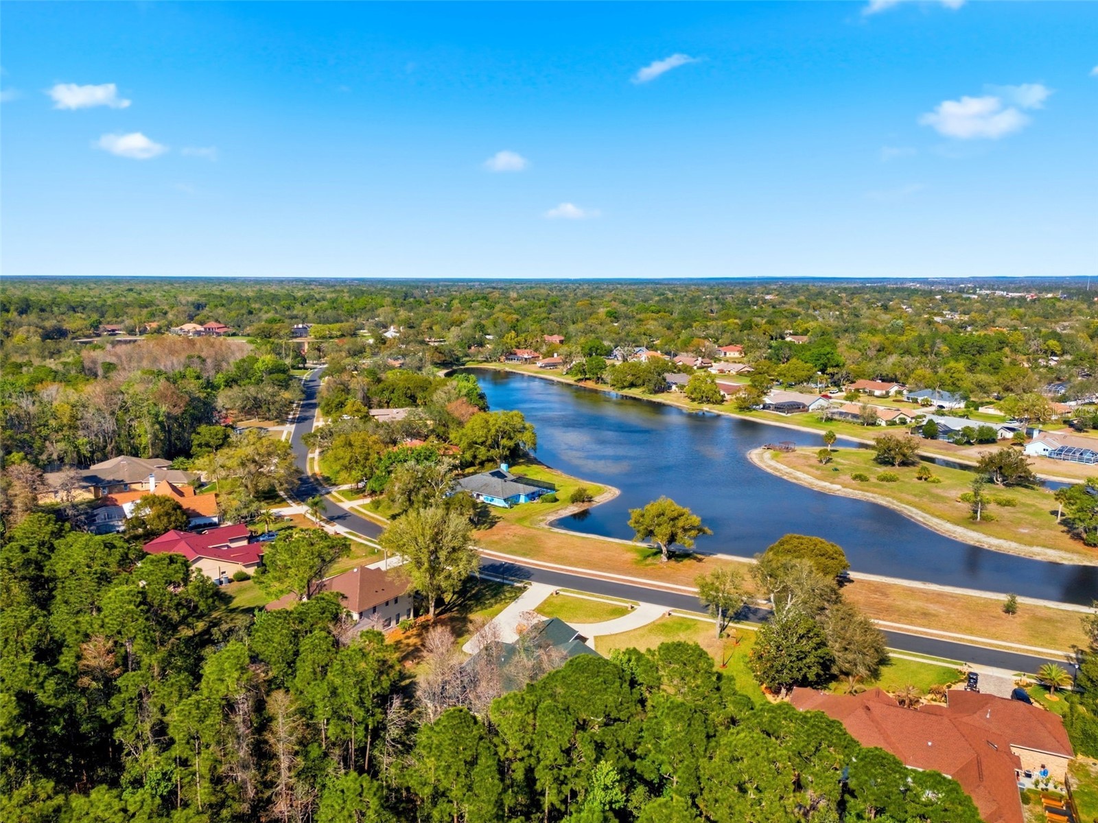 4453 Lake In The Woods Drive Spring Hill FL 34607 TB8487893 image80