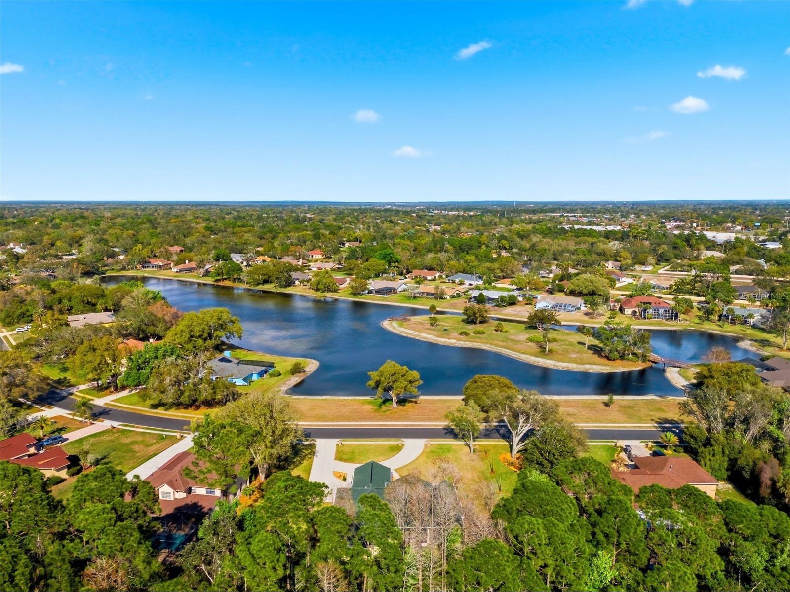 4453 Lake In The Woods Drive Spring Hill FL 34607 TB8487893 image81