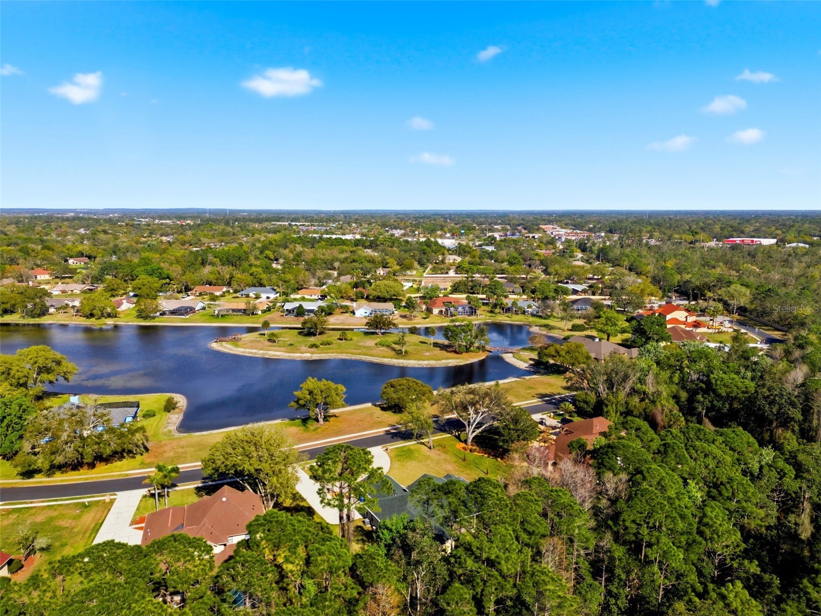 4453 Lake In The Woods Drive Spring Hill FL 34607 TB8487893 image82