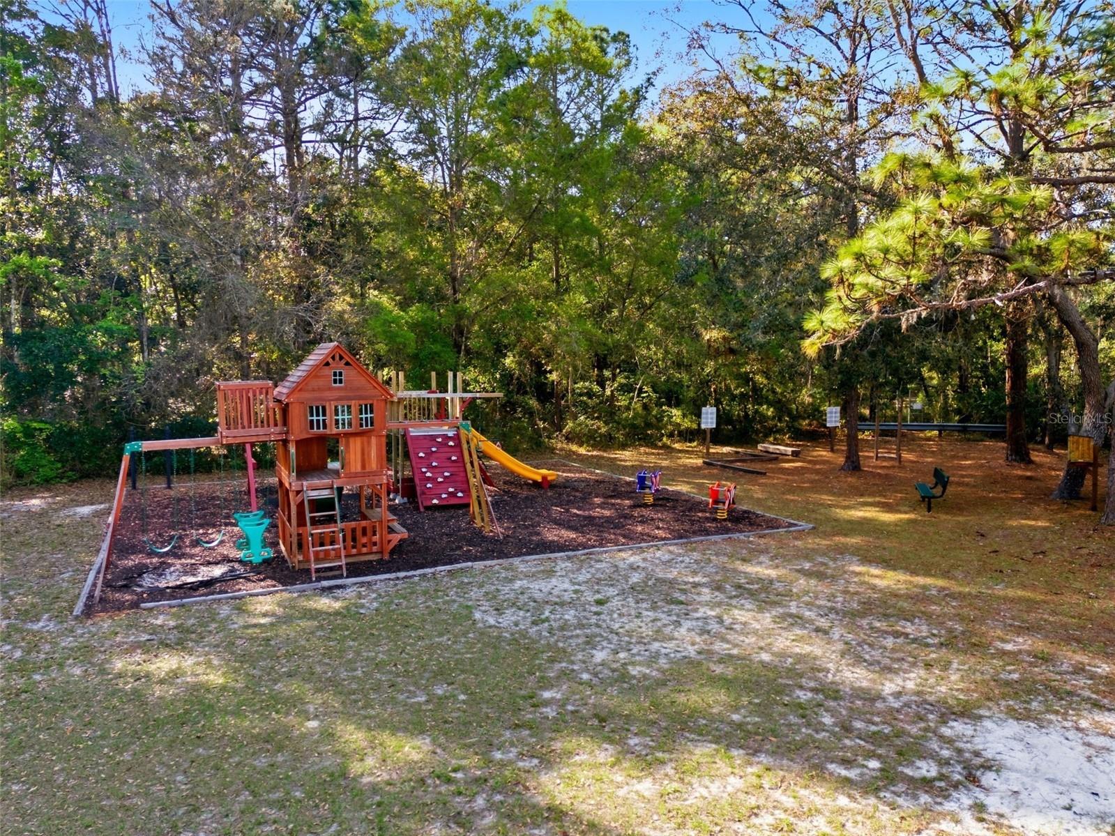 4453 Lake In The Woods Drive Spring Hill FL 34607 TB8487893 image83