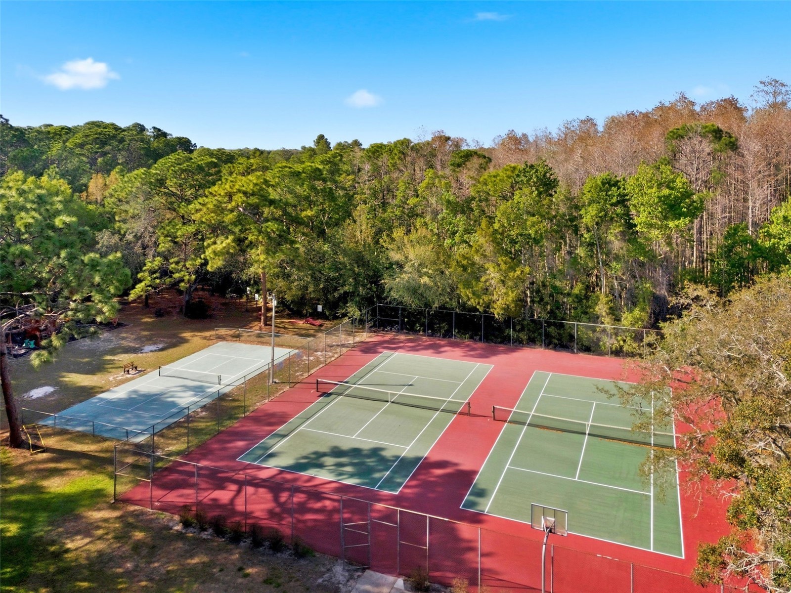 4453 Lake In The Woods Drive Spring Hill FL 34607 TB8487893 image86