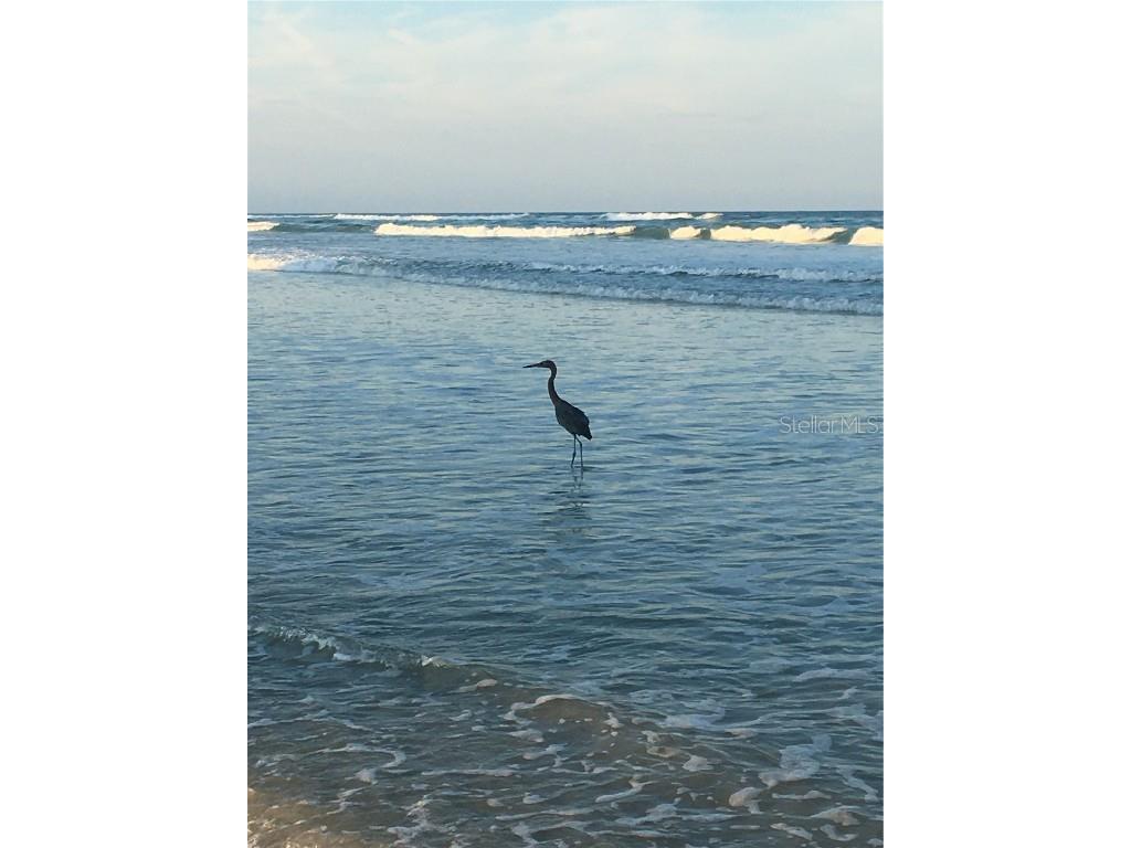 4453 S Atlantic Avenue #208 Ponce Inlet FL 32127 - ATLANTIC OCEAN O6345248 image8