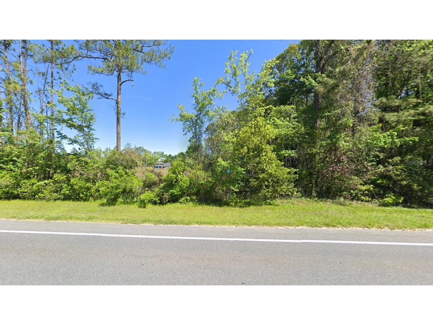 4454 County Road 218 Middleburg FL 32068 A4671193 image2