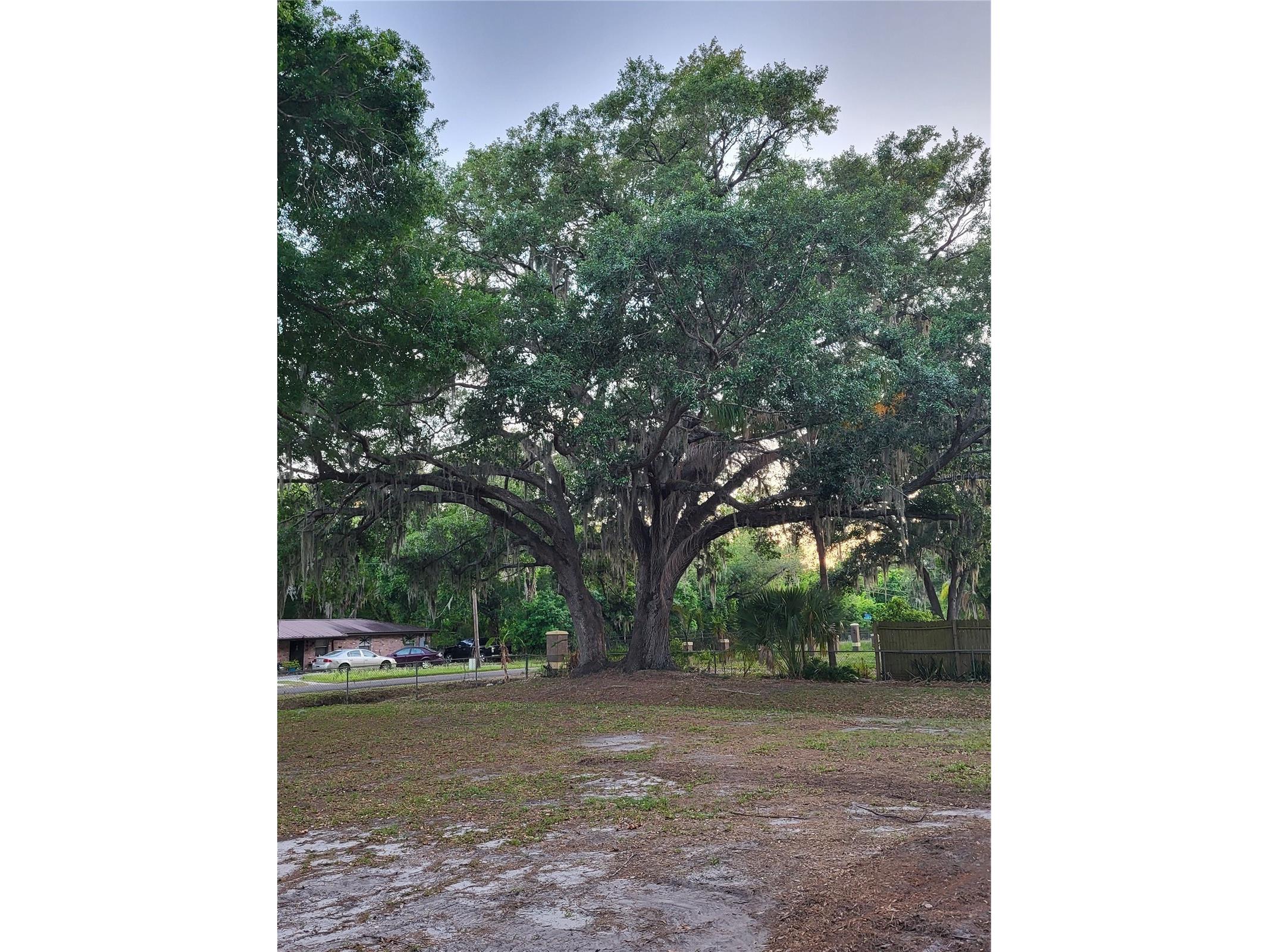 4454 Edwards Road Plant City FL 33567 TB8498717 image51