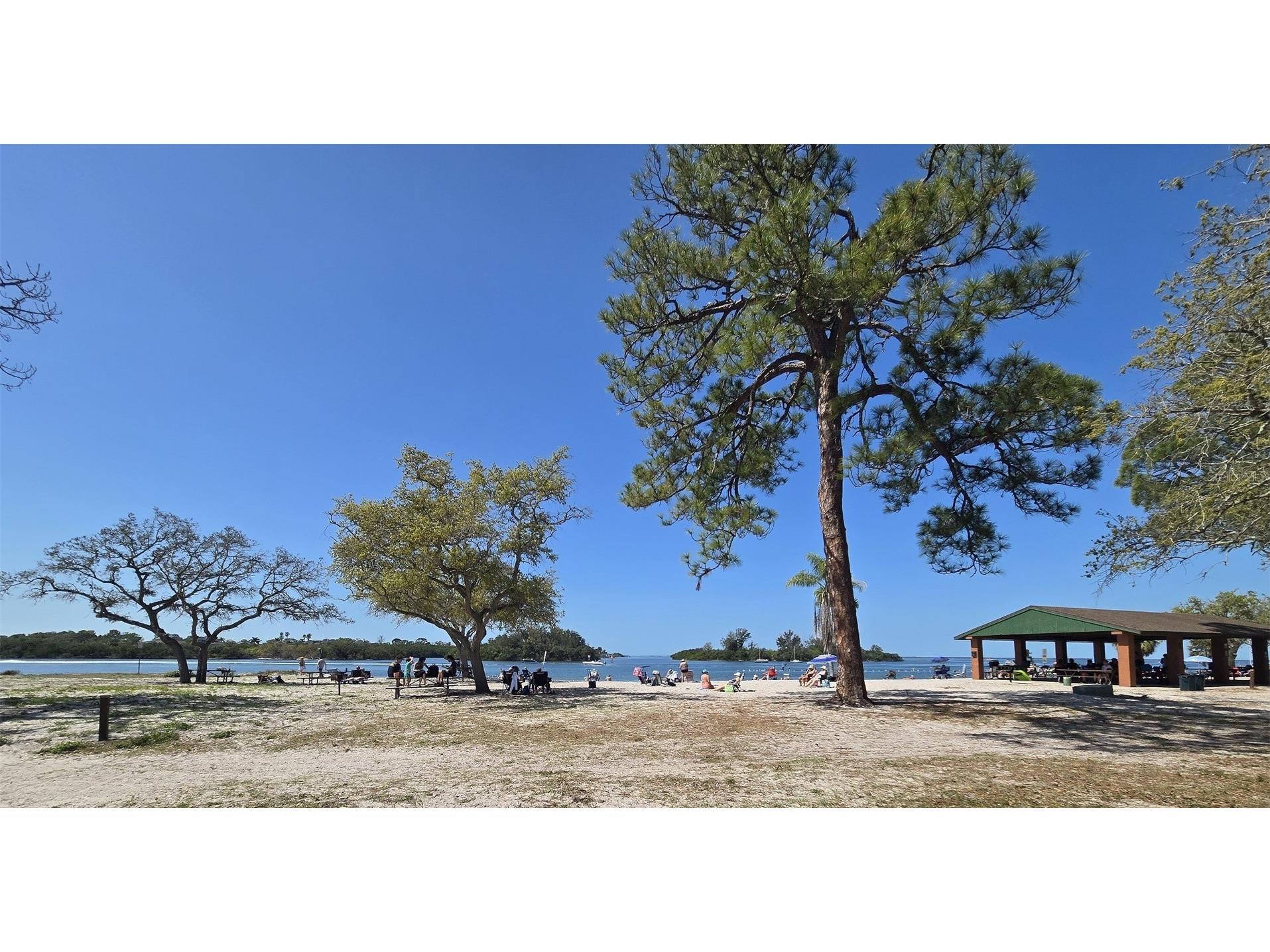 4454 Tucker Square New Port Richey FL 34652 TB8484805 image54