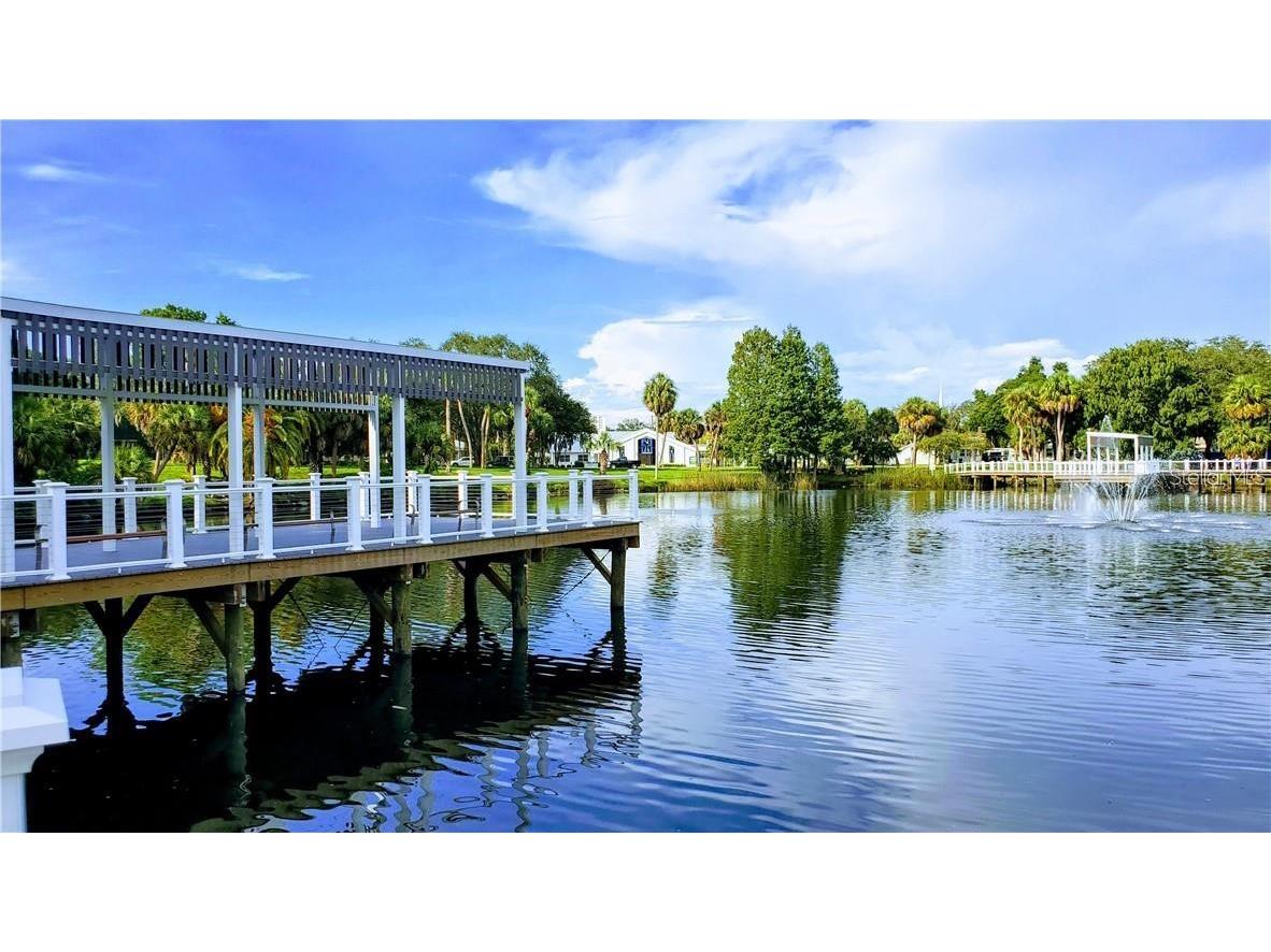 4454 Tucker Square New Port Richey FL 34652 TB8484805 image63