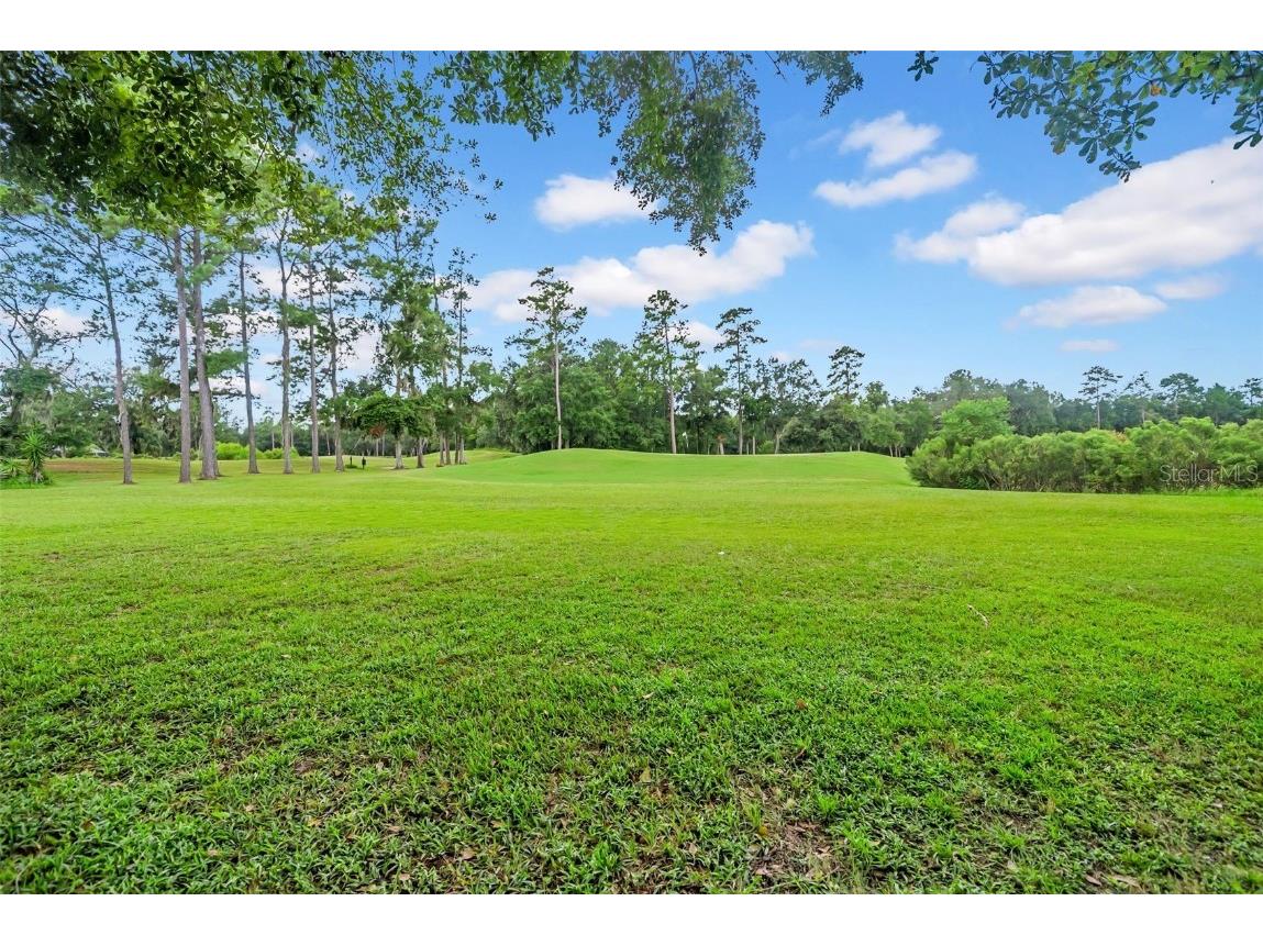 4455 Gevalia Drive Brooksville FL 34604 TB8426050 image59