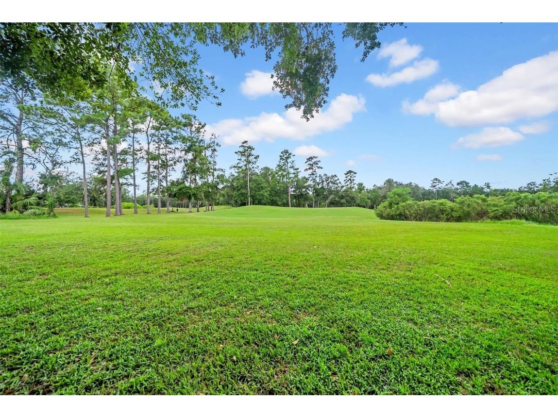 4455 Gevalia Drive Brooksville FL 34604 TB8426050 image60