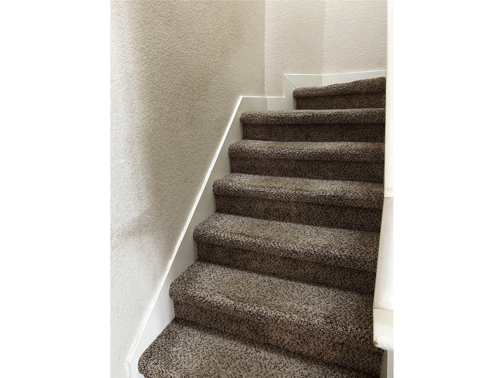4455 Har Paul Circle Tampa FL 33614 TB8476578 image12