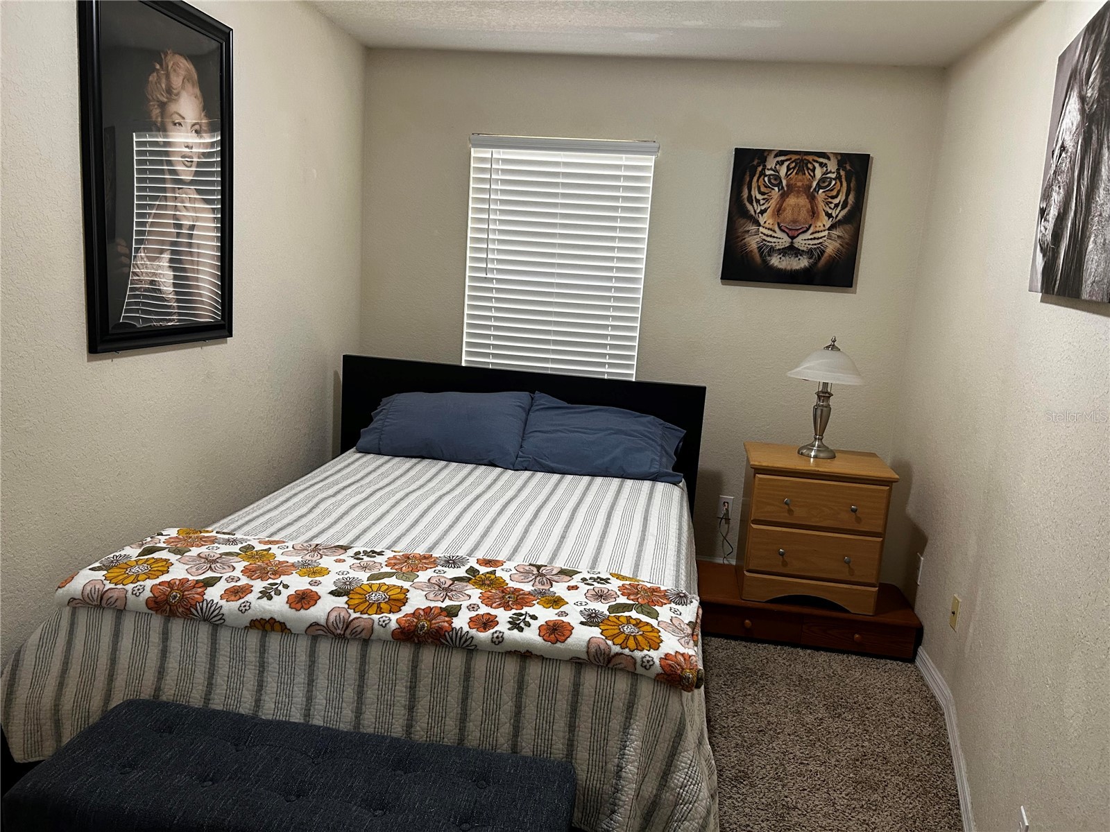 4455 Har Paul Circle Tampa FL 33614 TB8476578 image19