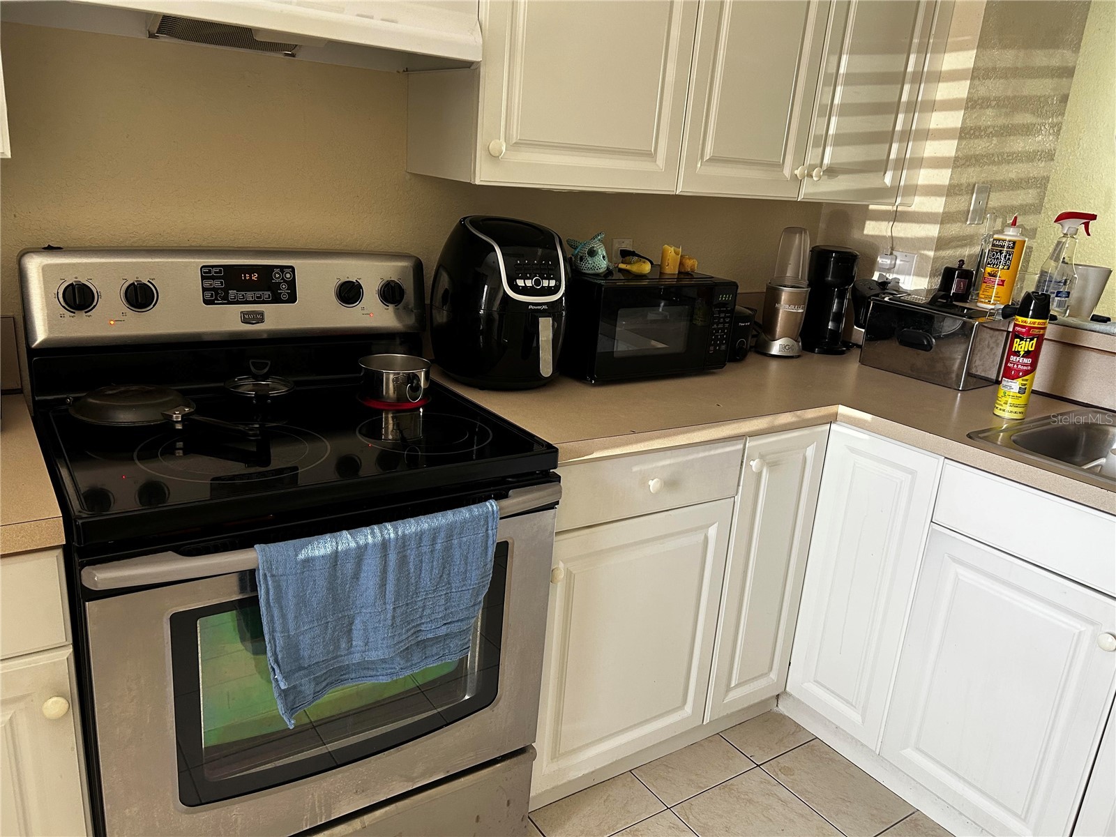 4455 Har Paul Circle Tampa FL 33614 TB8476578 image3