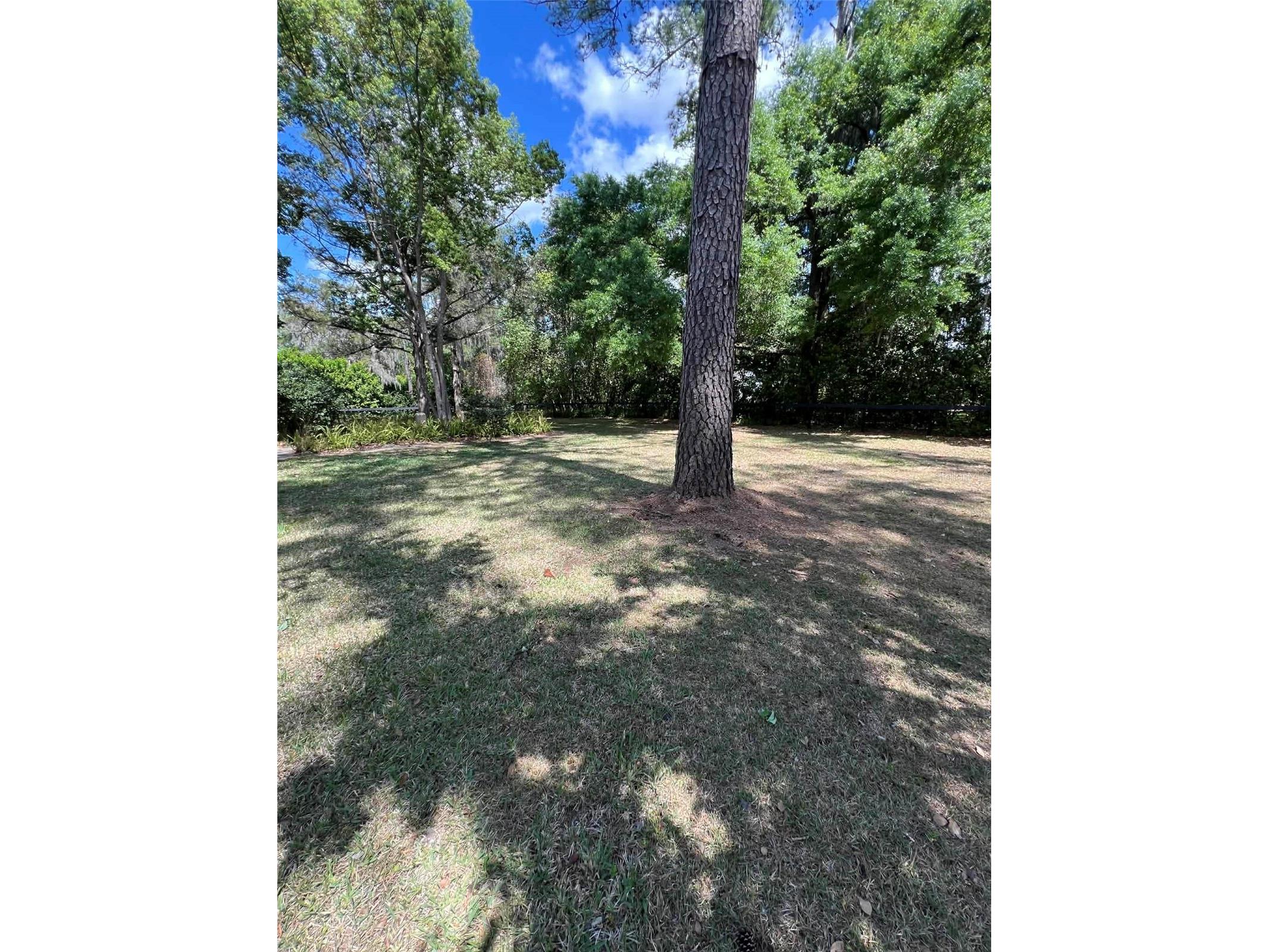 4455 NW 80th Terrace Ocala FL 34482 OM722194 image23