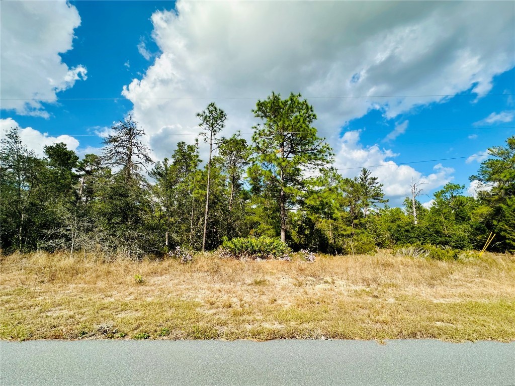4456 W Malaluka Circle Citrus Springs FL 34433 OM689606 image1