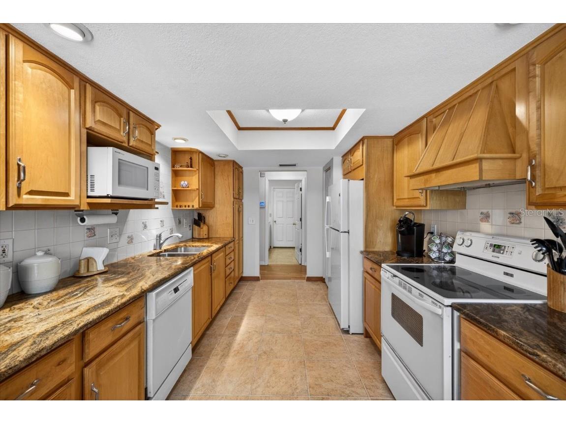 4457 Glenbrook Drive Palm Harbor FL 34683 TB8460953 image12