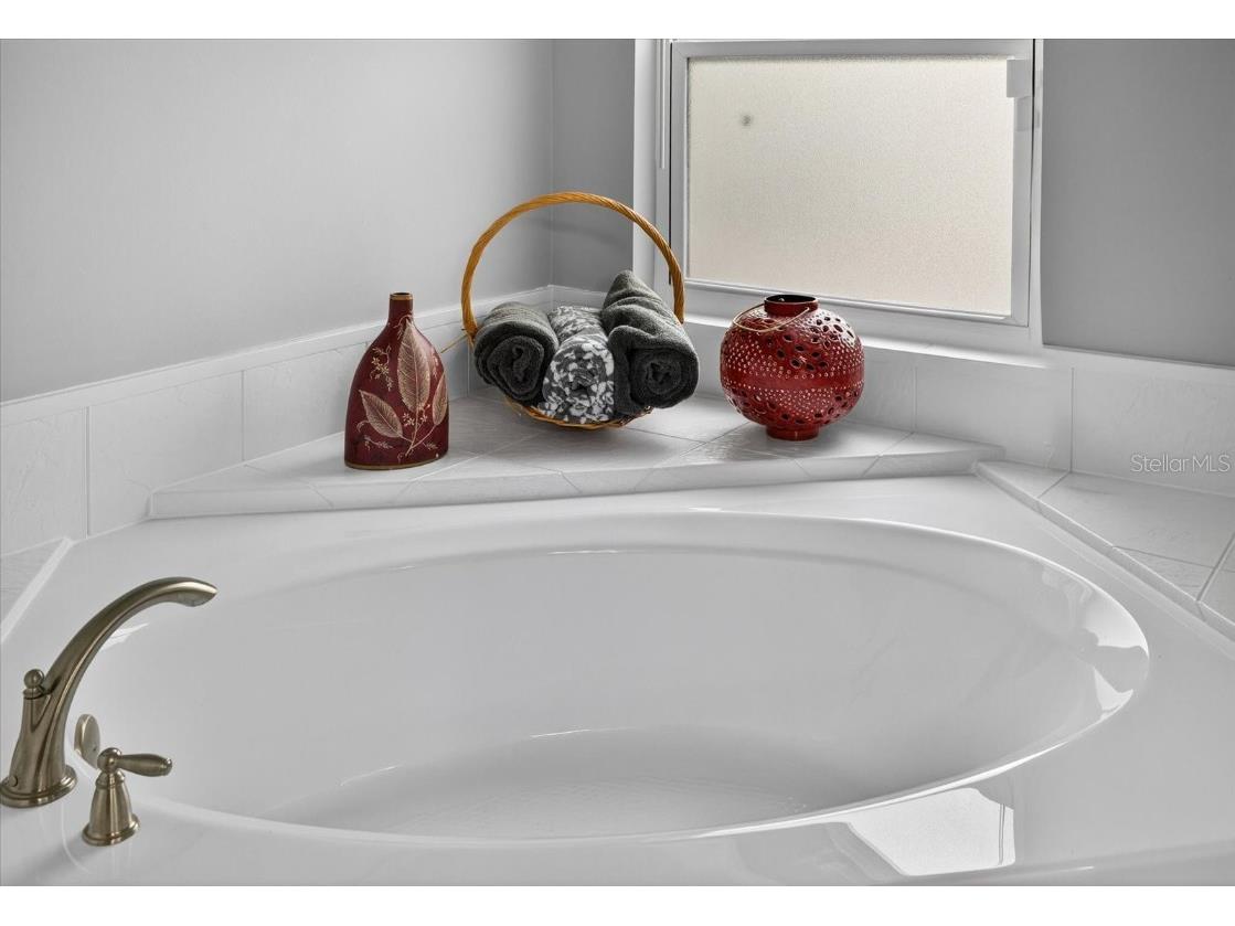 4457 Glenbrook Drive Palm Harbor FL 34683 TB8460953 image22