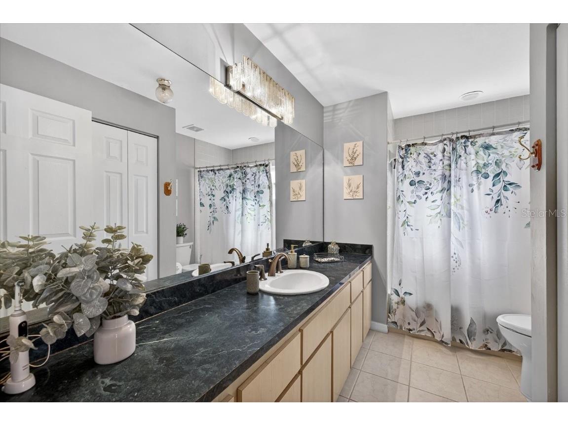 4457 Glenbrook Drive Palm Harbor FL 34683 TB8460953 image25