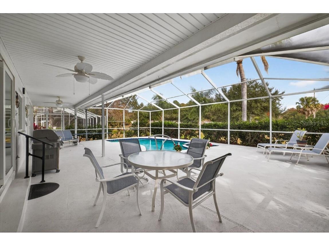 4457 Glenbrook Drive Palm Harbor FL 34683 TB8460953 image29