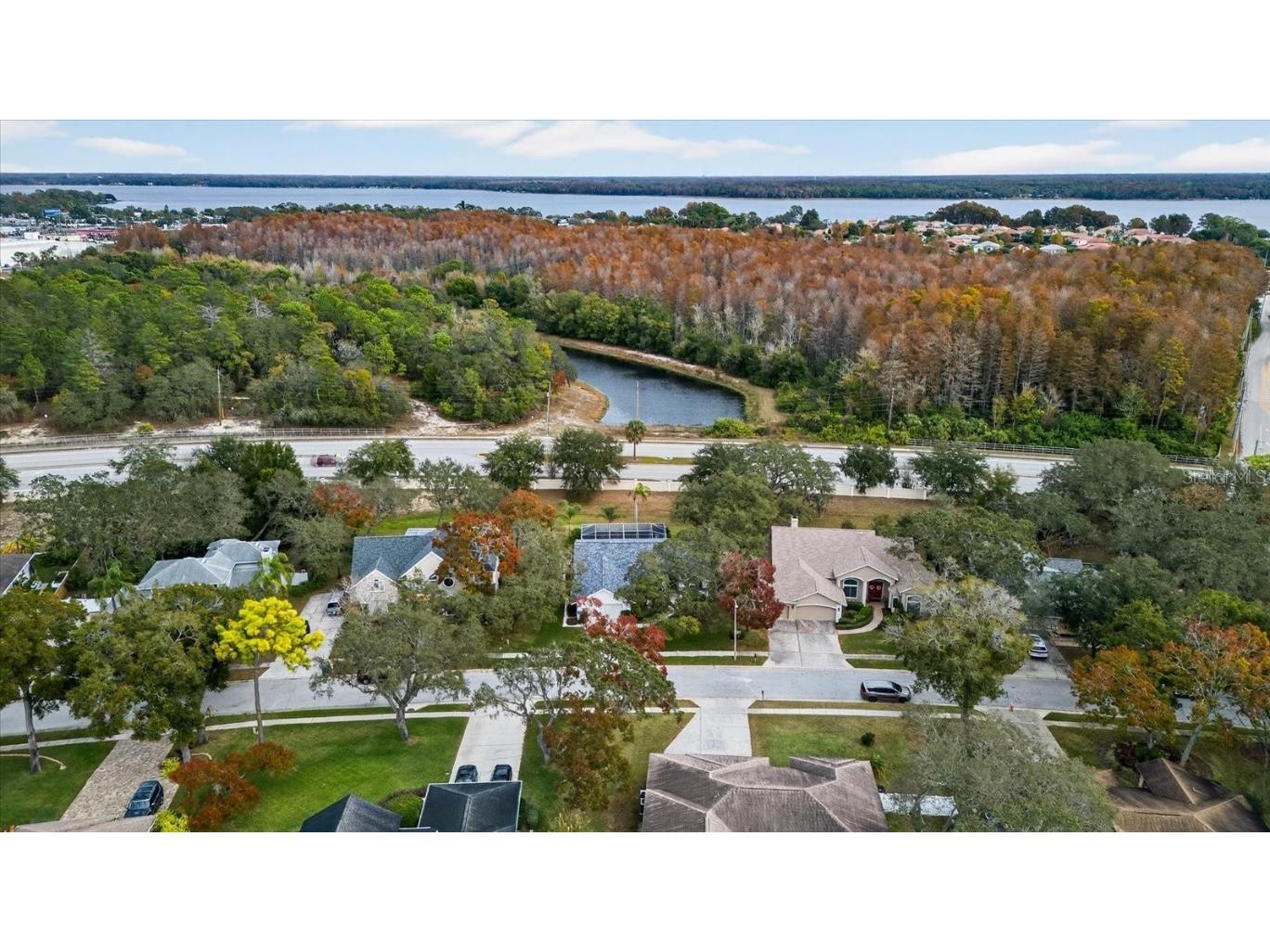 4457 Glenbrook Drive Palm Harbor FL 34683 TB8460953 image32