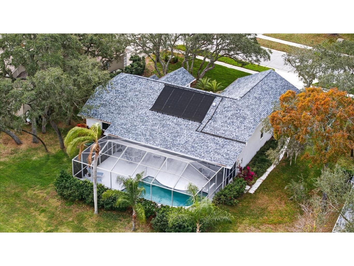 4457 Glenbrook Drive Palm Harbor FL 34683 TB8460953 image33