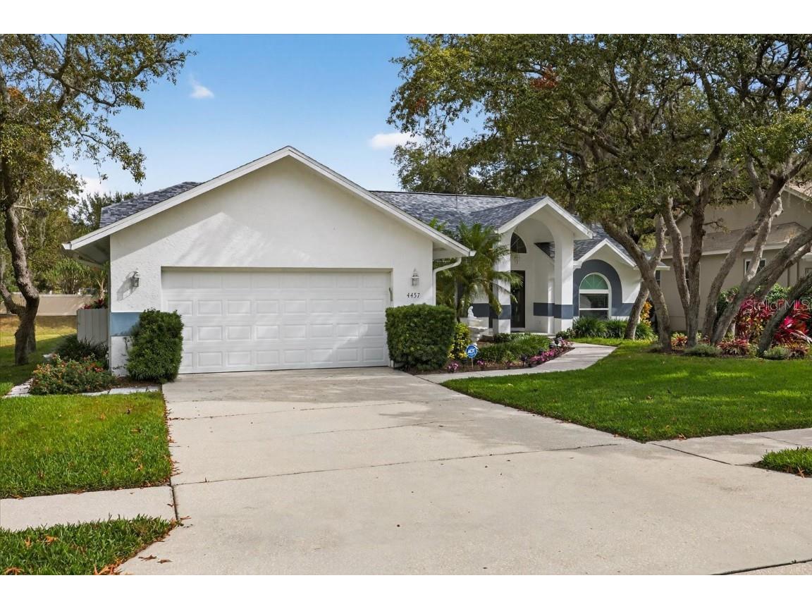 4457 Glenbrook Drive Palm Harbor FL 34683 TB8460953 image5