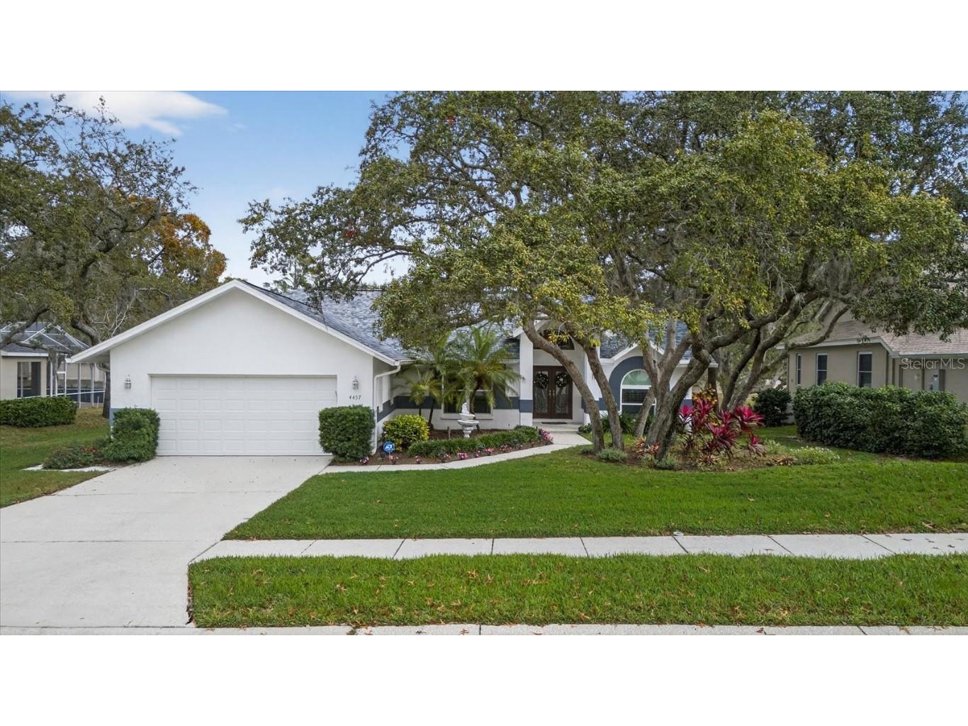 4457 Glenbrook Drive Palm Harbor FL 34683 TB8460953 image6