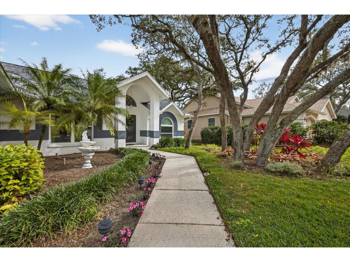 4457 Glenbrook Drive Palm Harbor FL 34683 TB8460953 image7