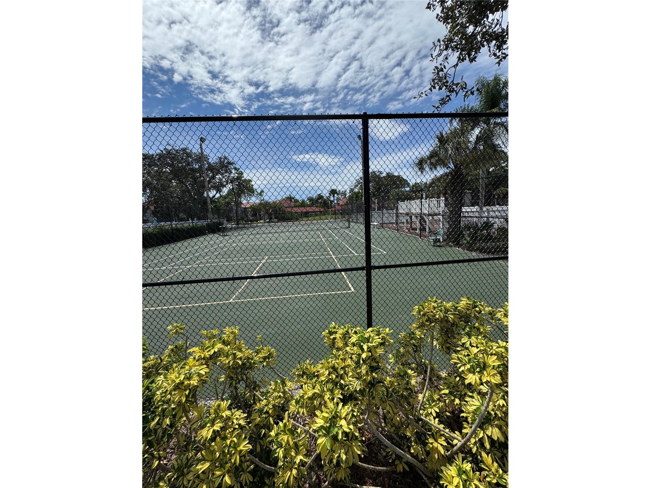 4457 W 45th Avenue #211 Bradenton FL 34210 A4690915 image19