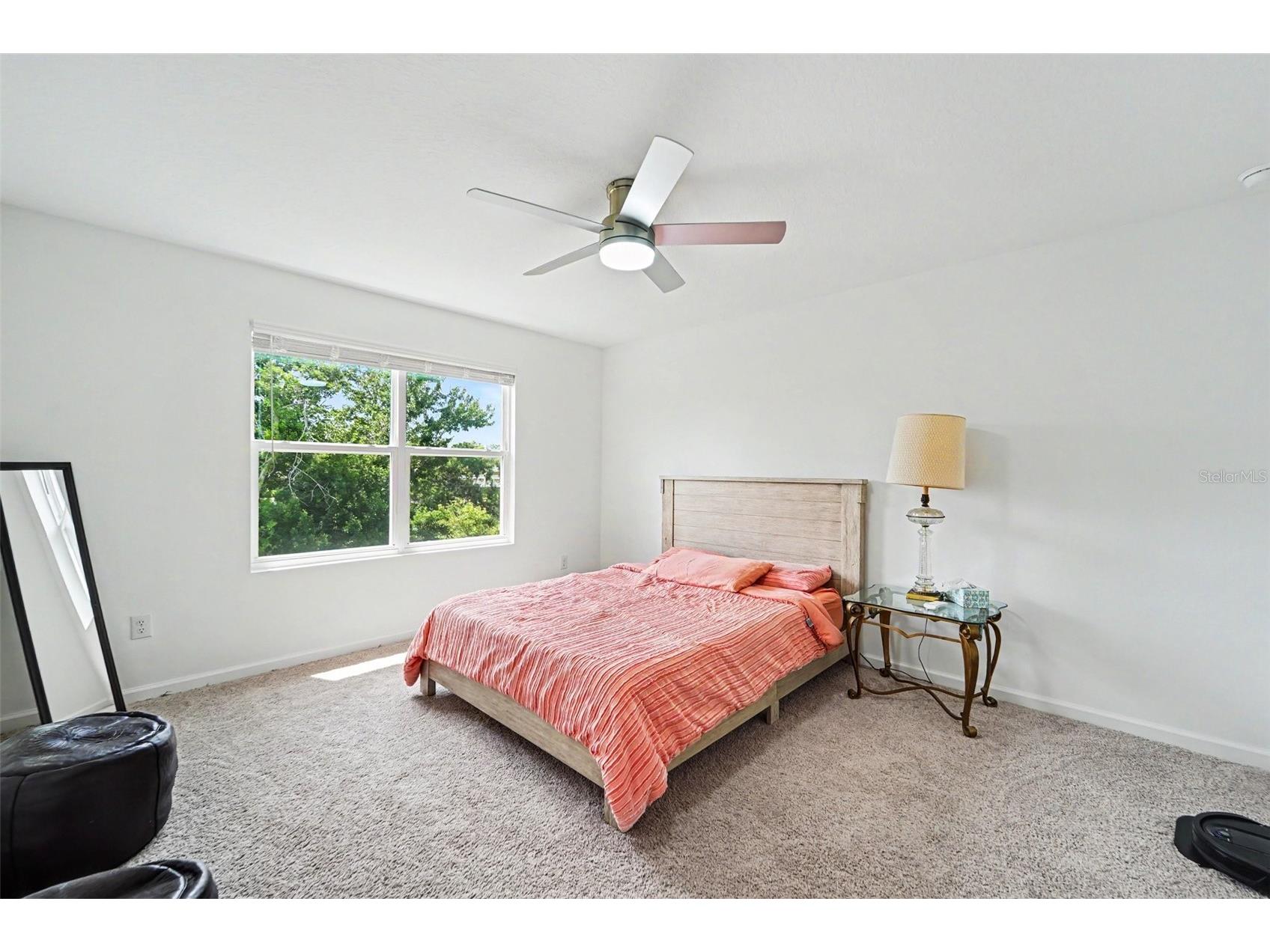 4458 Banjo Lake Road Land O Lakes FL 34639 TB8511174 image6