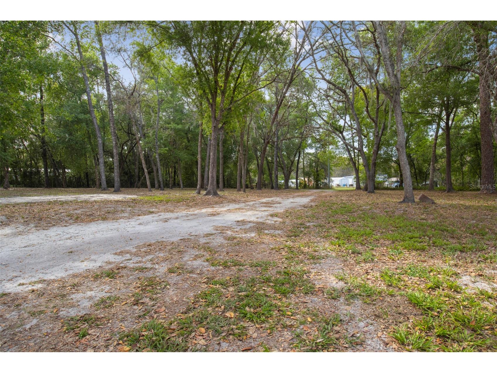 4458 Foster Lane Zephyrhills FL 33541 TB8496153 image1