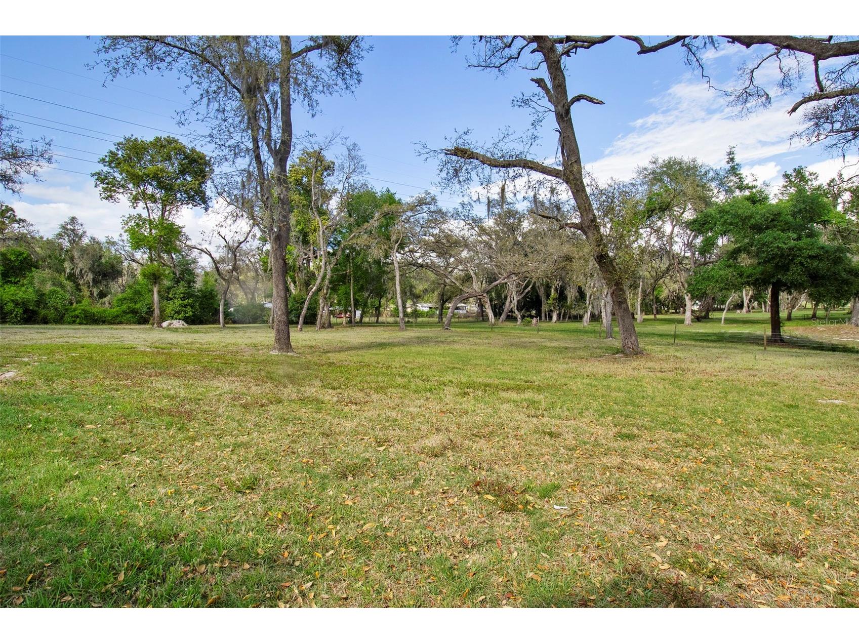 4458 Foster Lane Zephyrhills FL 33541 TB8496153 image3